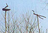 韓国の鳥竿